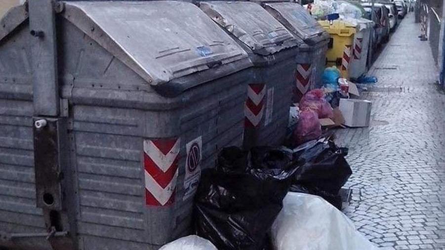Petizione in via 7 Luglio: spostate quei bidoni portano puzza e mosche