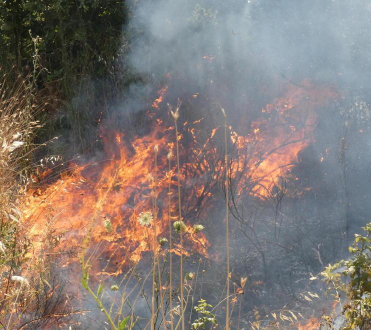 «All’improvviso le fiamme davanti alla mia auto Ho avuto paura di morire»