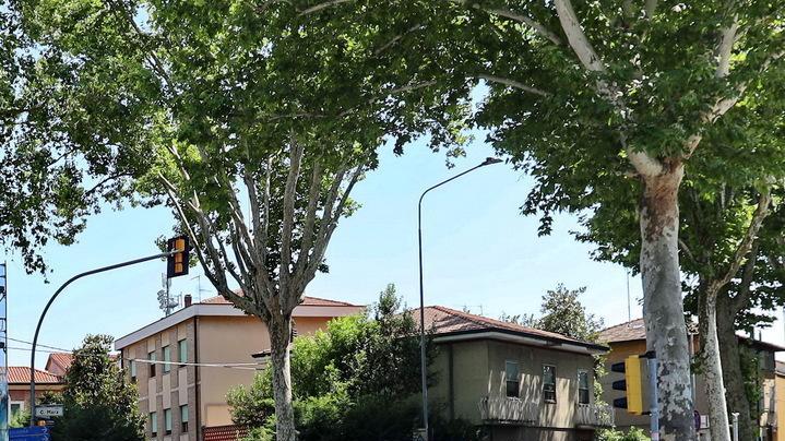 Fotored, boom di multe Comune e vigili pensano alle soluzioni