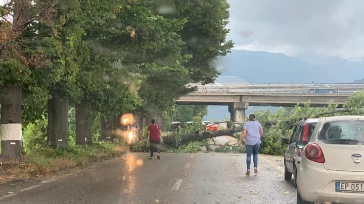 Maltempo, albero si abbatte sulla Provinciale per Camaiore - Video