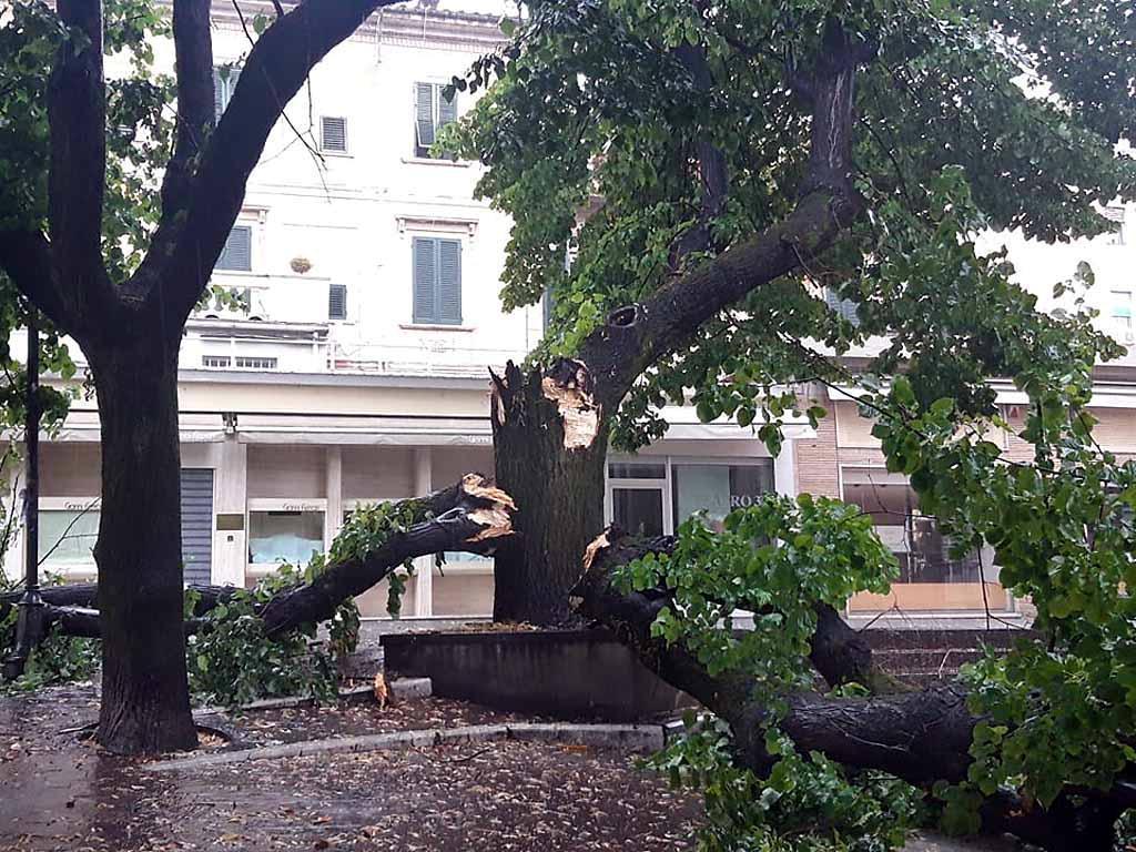Nubifragio a Massa e a Carrara: strade allagate, alberi spezzati 