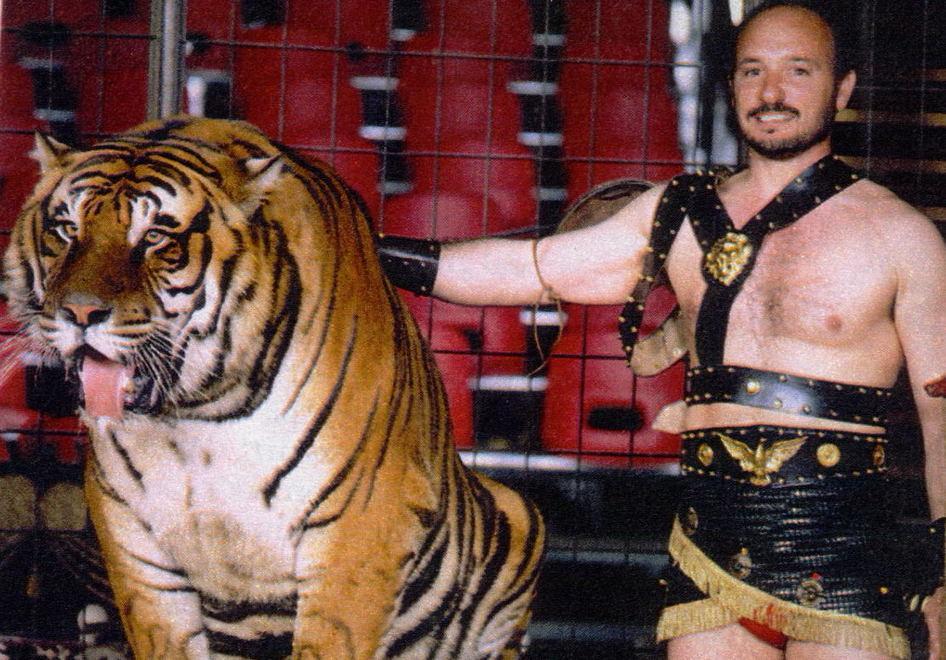 Livio Togni, oggi 68 anni, domatore per 25 anni, dentro la gabbia del circo, durante il numero con le tigri