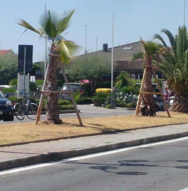 Il biglietto da visita? Lungomare con erba secca