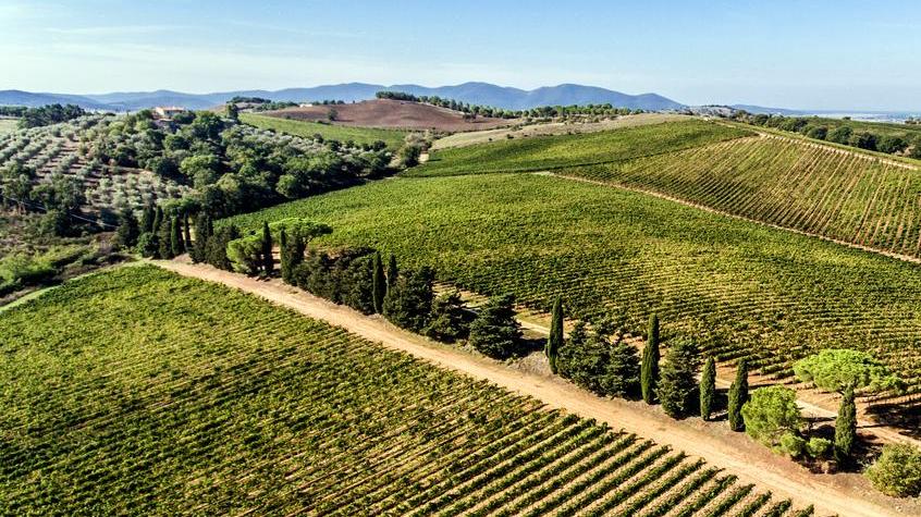 La piccola rivoluzione agricola voluta nel 1996 da Luigi Cecchi