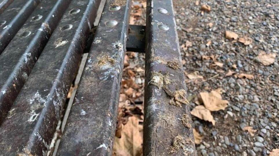 Guano su giochi e panchine a Vada, la rabbia dei negozianti