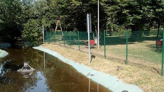 Carpi, una raccolta firme per salvare le tartarughe