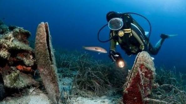 Dai fondali di Giannutri è sparito il giardino di conchiglie simbolo del Mediterraneo