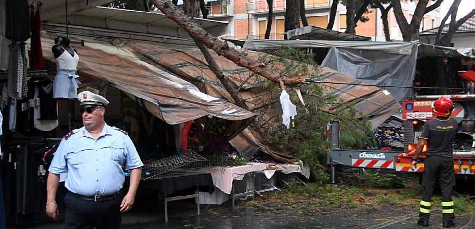Grosso ramo cade sulla bancarella sfiorata la tragedia al mercato 