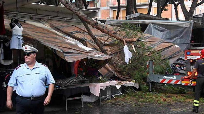 Grosso ramo cade sulla bancarella sfiorata la tragedia al mercato