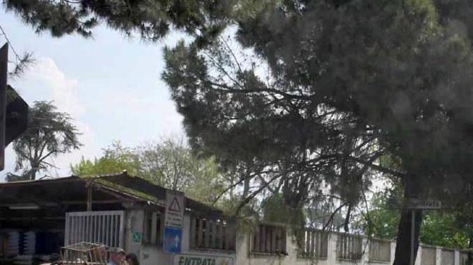 «Ricicleria, soluzione peggiore del problema»