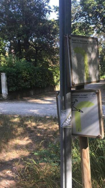 La rabbia dei turisti «Il bosco di D’Annunzio abbandonato al degrado»