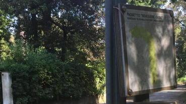La rabbia dei turisti «Il bosco di D’Annunzio abbandonato al degrado»