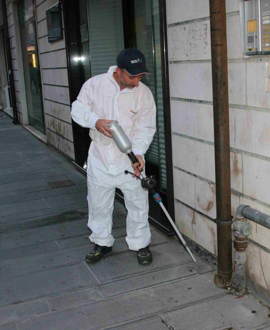 Zanzare e mosche, via alla disinfestazione 
