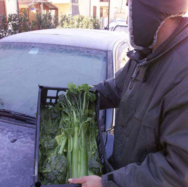Ladro affamato, ruba frutta e verdura dal negozio 