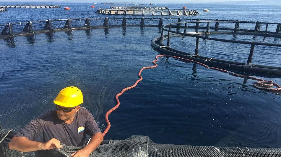 Pescatori e ristoratori 2 giorni di Sapori di mare l’alleanza per la qualità