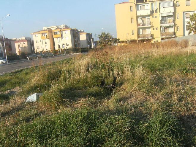 Sporcizia e degrado. Rabbia in via Gracchi: «È così da giugno» 
