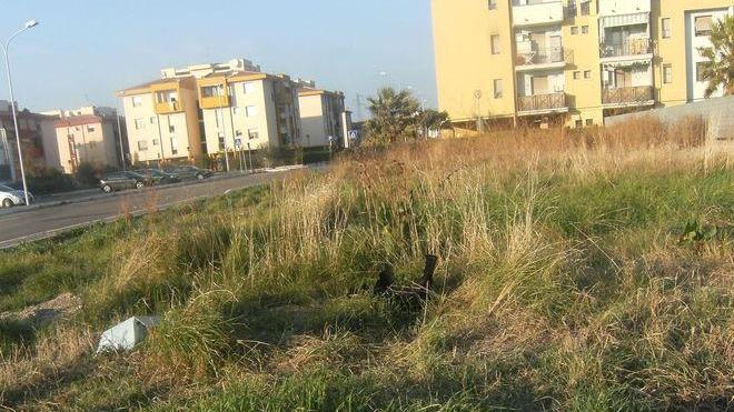 Sporcizia e degrado. Rabbia in via Gracchi: «È così da giugno»
