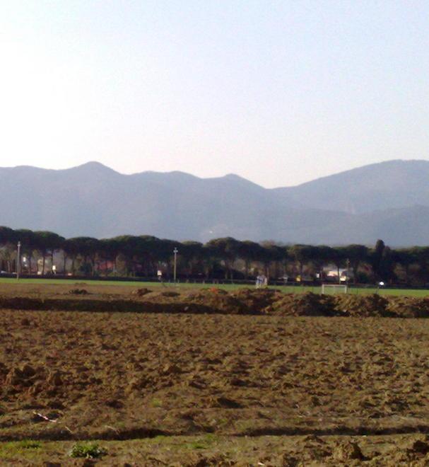 «Terra e fosse perimetrali da controllare al Green Park» 