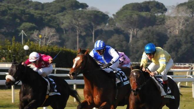 San Rossore, occhi puntati sul primo Palio dei Comuni