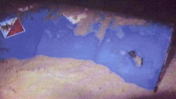 Bidoni tossici alla Gorgona: l’allarme dei pescatori