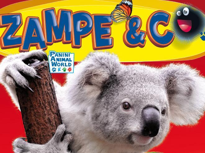 Figurine o in carne e ossa gli animali vanno a scuola 