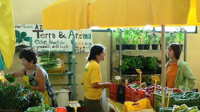 In piazza degli Alpini il mercato di “campagna amica”
