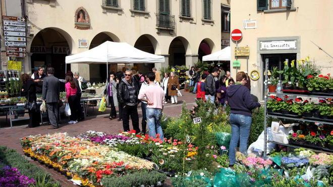 Montelupo si tinge di verde