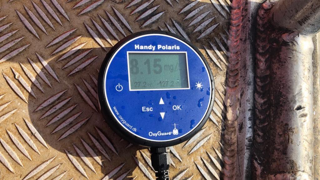 In basso a sinistra sul display dell’ossimetro si legge la temperatura del mare di 27,2 gradi centigradi