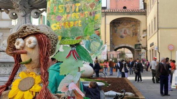 Polli ornamentali e orti d’artista
