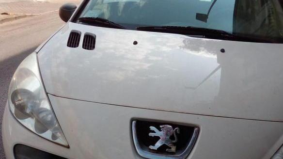 La targa portata via alla titolare di una lavanderia in Darsena «Stento ancora a crederci»