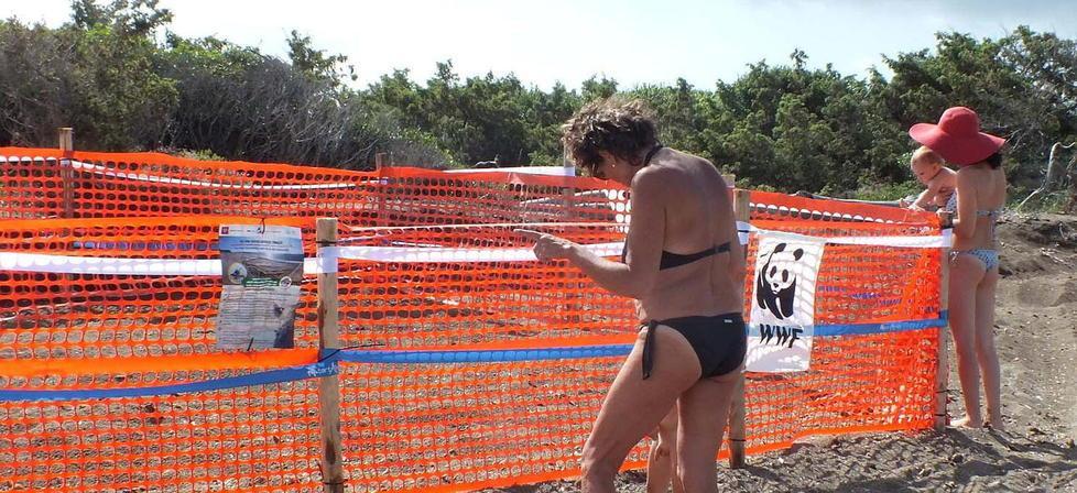 «Un nido di tartaruga, che grande emozione Ora voglio vederle nascere» 