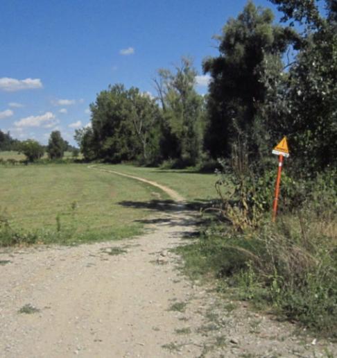 Via libera alla ciclabile tra Reggio e Puianello Il cantiere entro l’anno 