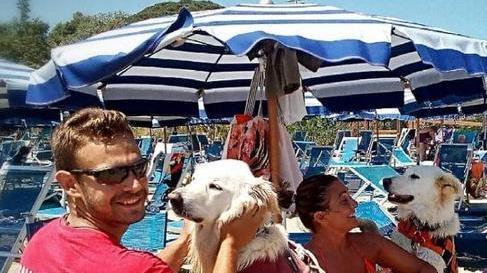 Beve una bibita e si accascia Rianimato dai bagnini eroi