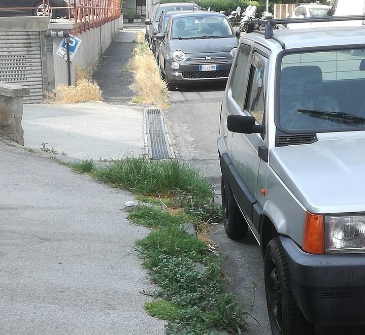 Proteste per le erbacce alte