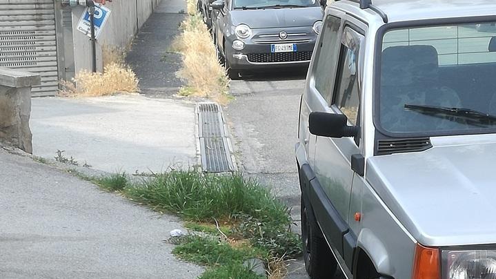 Proteste per le erbacce alte