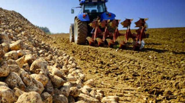 Zucchero, poche gioie E anche il made in Italy perde posizioni