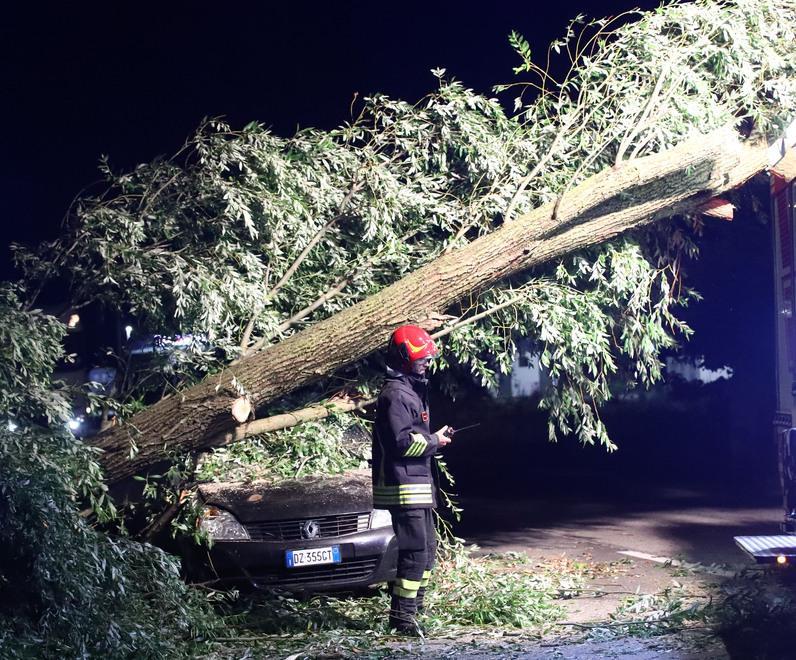 Cade l’albero, tragedia sfiorata. E oggi torna l’allerta temporali 
