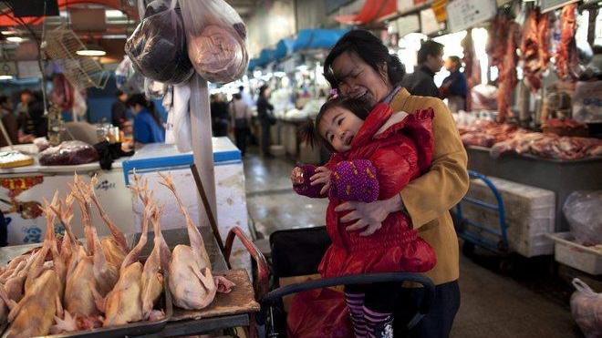 Importazione illegale dalla Cina: sequestrate 43 tonnellate di alimenti