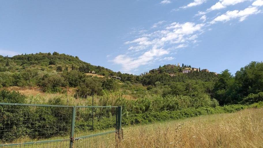 Fonte di Sotto, va all’asta il terreno di Borgo Novo