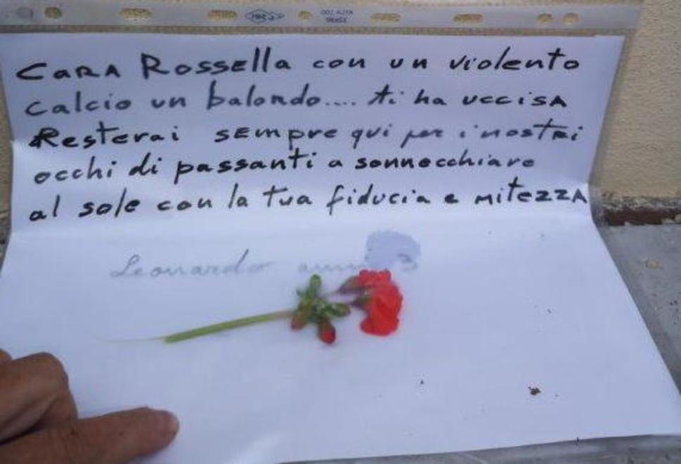 «Risse e degrado in pineta, non ci sentiamo al sicuro» 
