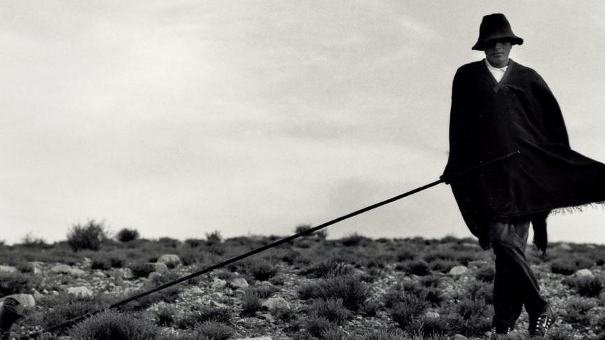 Boschi a Potentino Emozioni in foto dalle Ande all’India