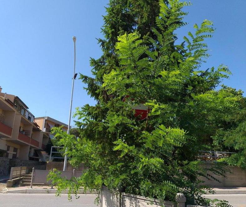 Divieto d’accesso nel cespuglio