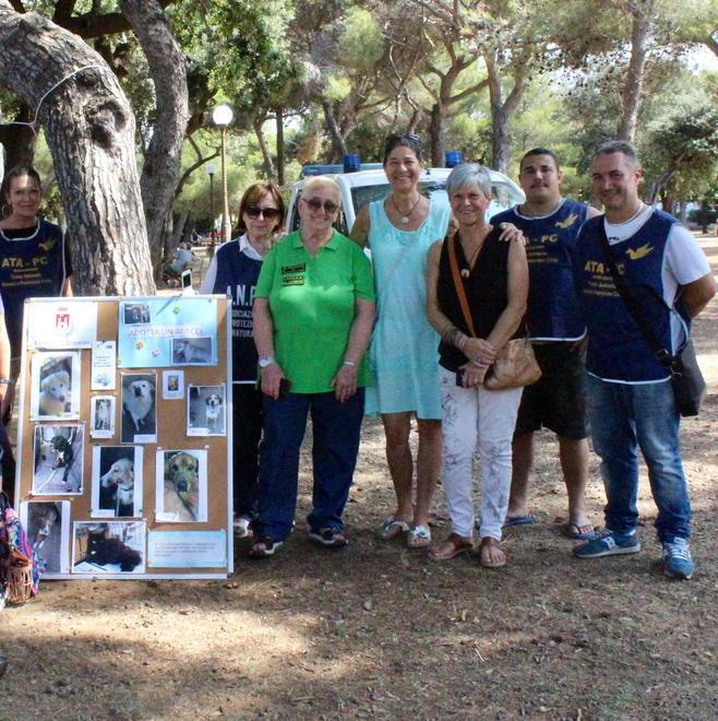 «Canile aperto entro l’anno» ecco la promessa della vicesindaca