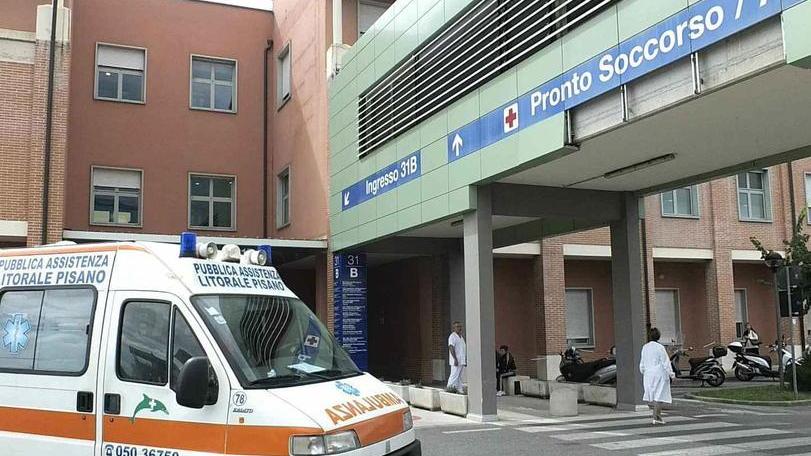 Cade da quattro metri mentre pota un albero Ricoverato a Cisanello