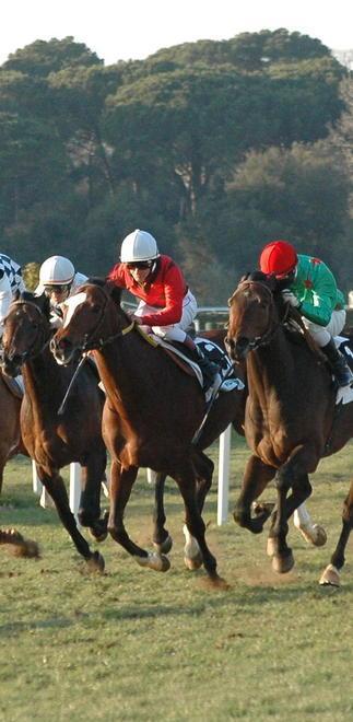 San Rossore, corre anche la stella Laghat 