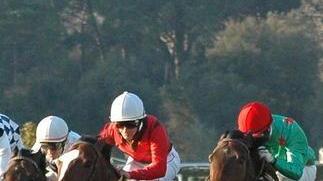 San Rossore, corre anche la stella Laghat