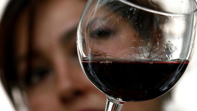 Torna il Vinitaly, tutti i protagonisti della doc Bolgheri