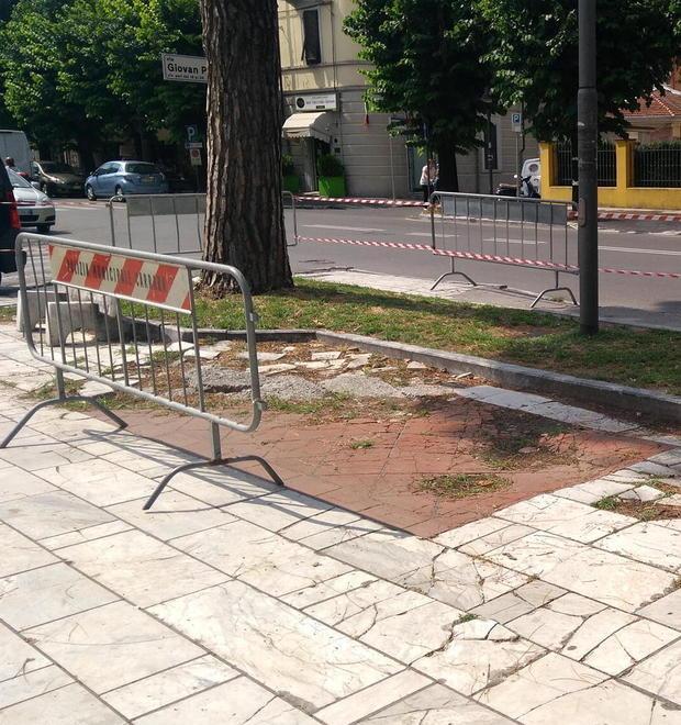 Anziano cade sulle radici dei pini e finisce al Noa