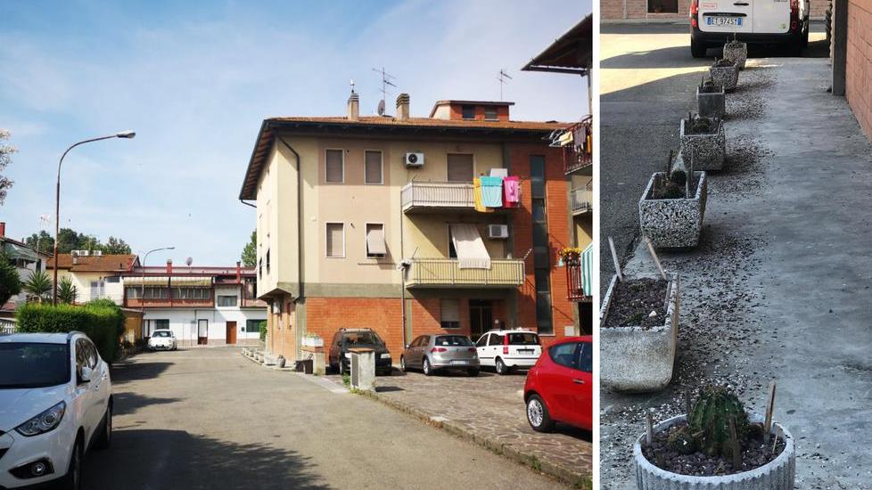 Troppi nidi di rondine I vicini: il Comune ci aiuti