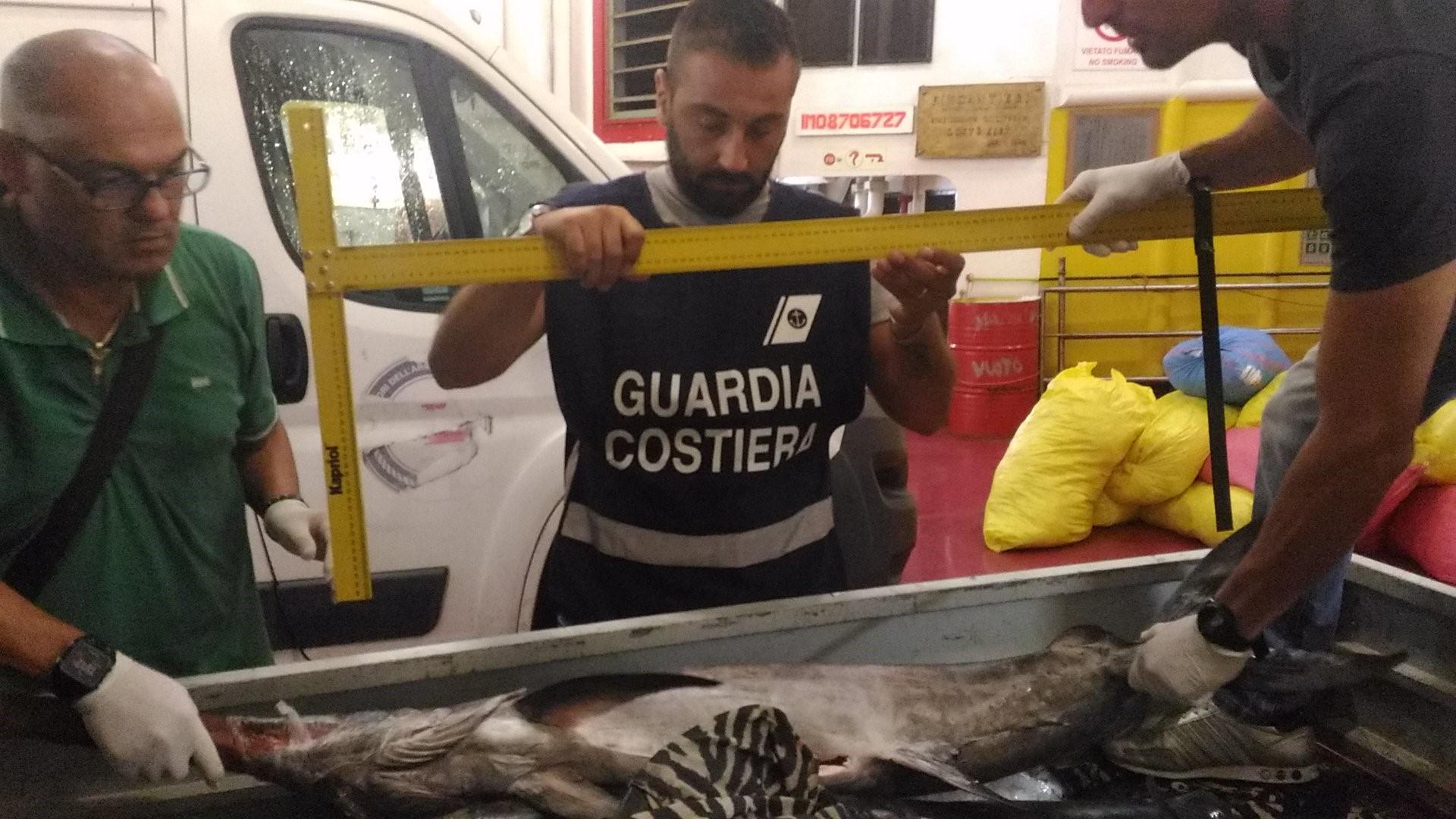 I controlli della guardia costiera